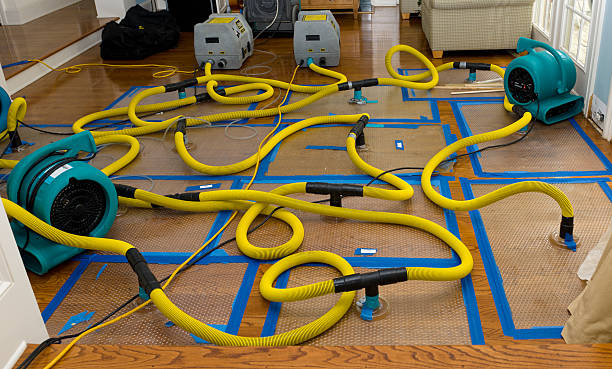 Professional Water Damage Repair technician working in Huntingdon Valley, PA